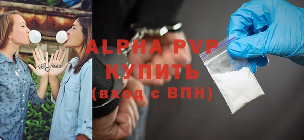 ПСИЛОЦИБИНОВЫЕ ГРИБЫ Гусь-Хрустальный