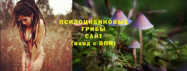 спайс Алзамай