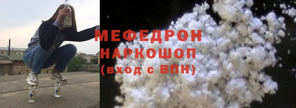 индика Инсар