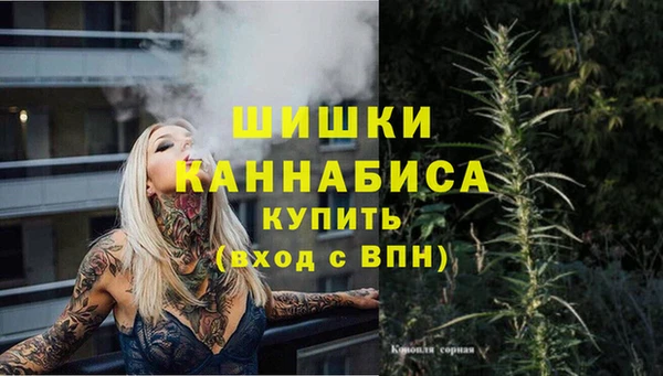 индика Алексеевка