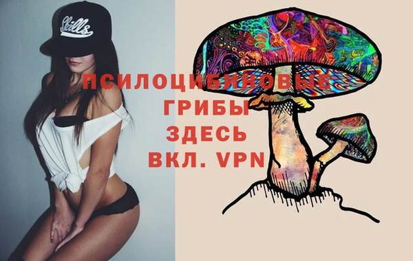 PSILOCYBIN Алексин