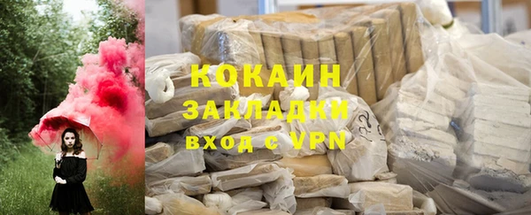 индика Алексеевка