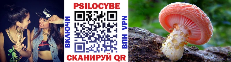 Псилоцибиновые грибы мицелий  Талица 