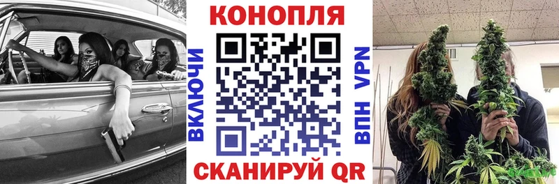 площадка официальный сайт  купить закладку  Талица  Шишки марихуана White Widow 